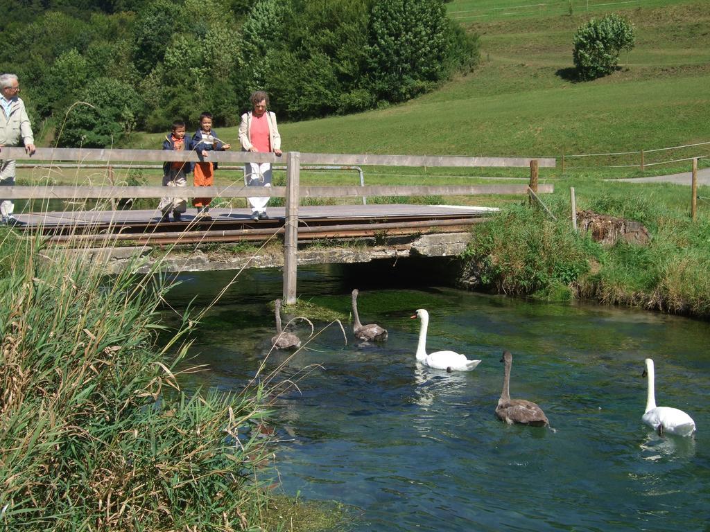 Gasthof Zur Post Zwiefalten Bagian luar foto